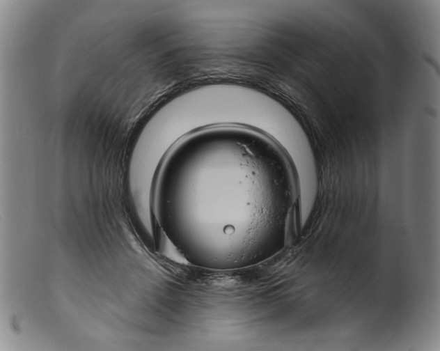 X0000099420456200805231633