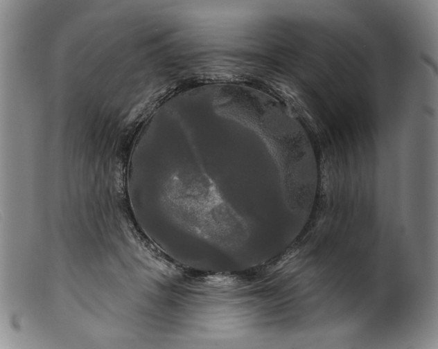 X0000099420457200805231633