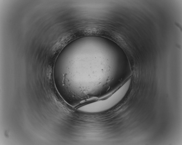 X0000099420458200805231633