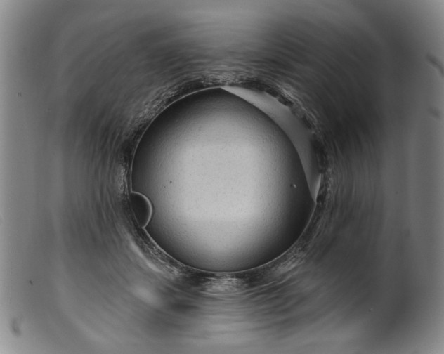 X0000099420459200805231633