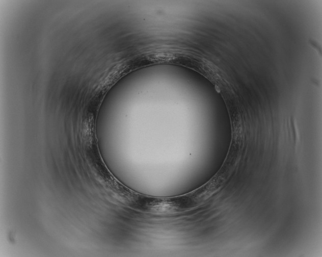 X0000099420460200805231633