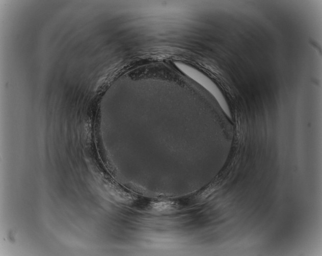 X0000099420461200805231633