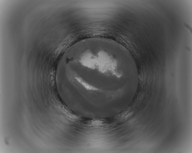 X0000099420462200805231633