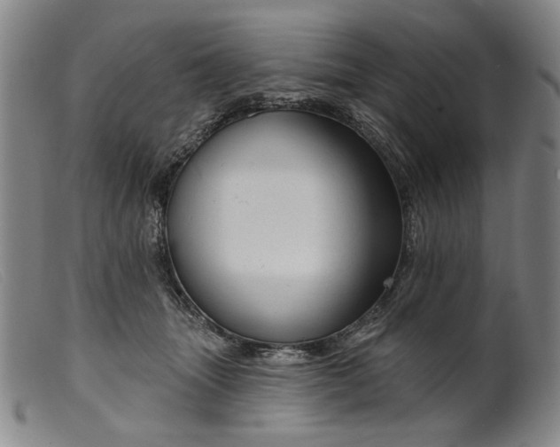 X0000099420463200805231633