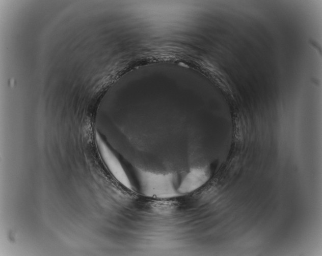 X0000099420465200805231633