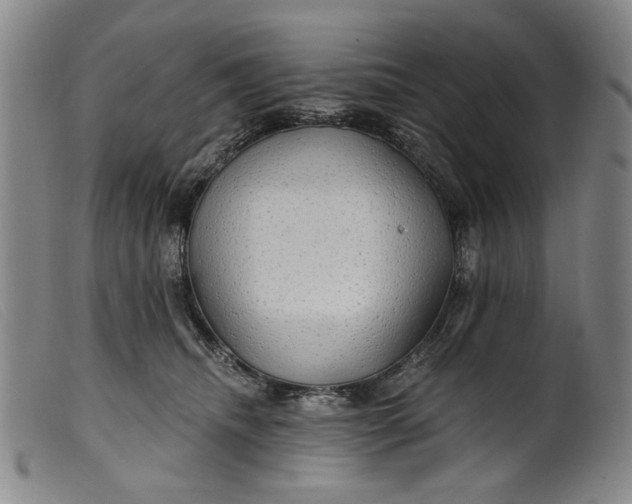 X0000099420468200805231633