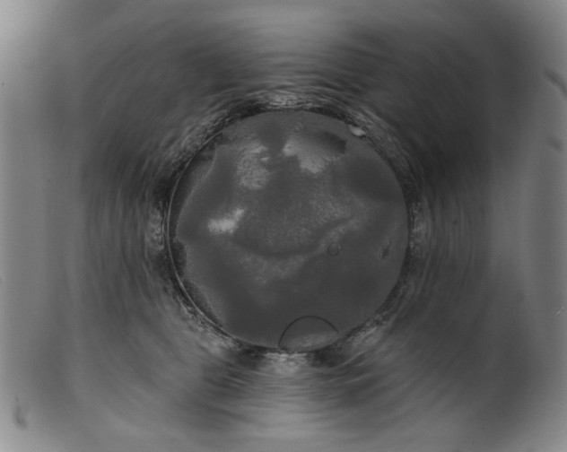 X0000099420469200805231633