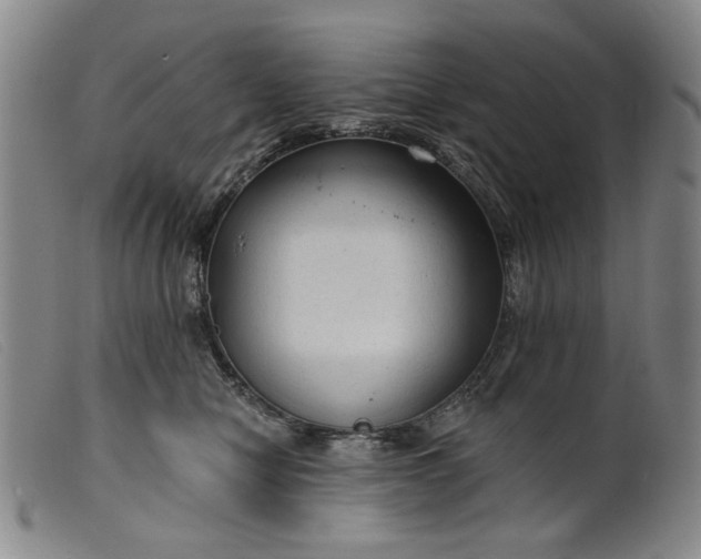 X0000099420470200805231633