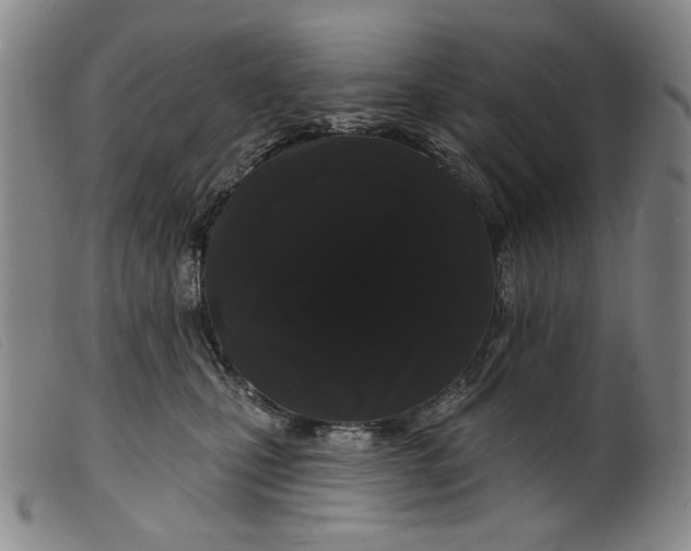 X0000099420471200805231633
