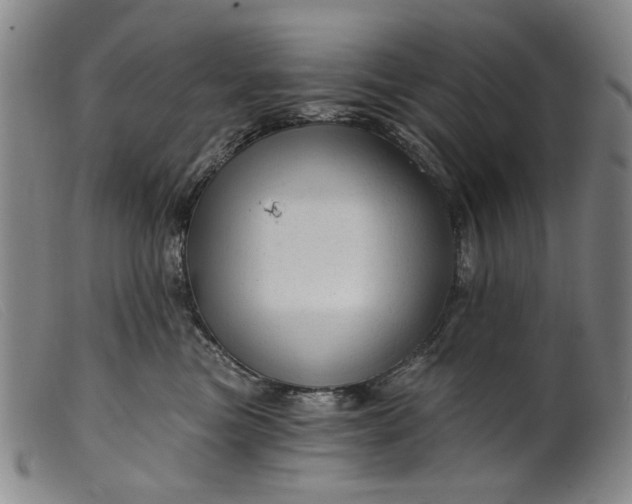 X0000099420473200805231633