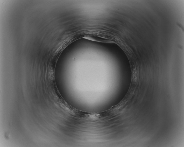 X0000099420474200805231633