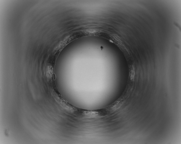 X0000099420476200805231633