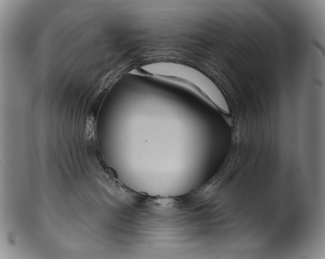 X0000099420478200805231633