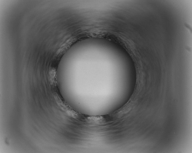X0000099420480200805231633
