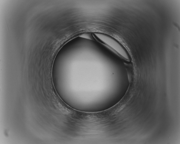 X0000099420481200805231632