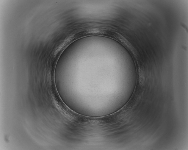 X0000099420482200805231632