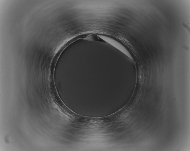 X0000099420484200805231632