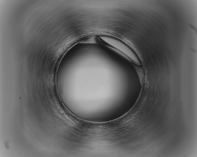 X0000099420485200805231632