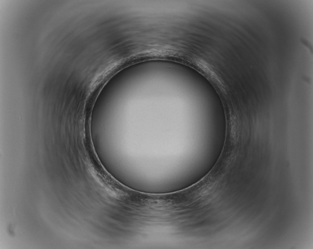X0000099420486200805231632