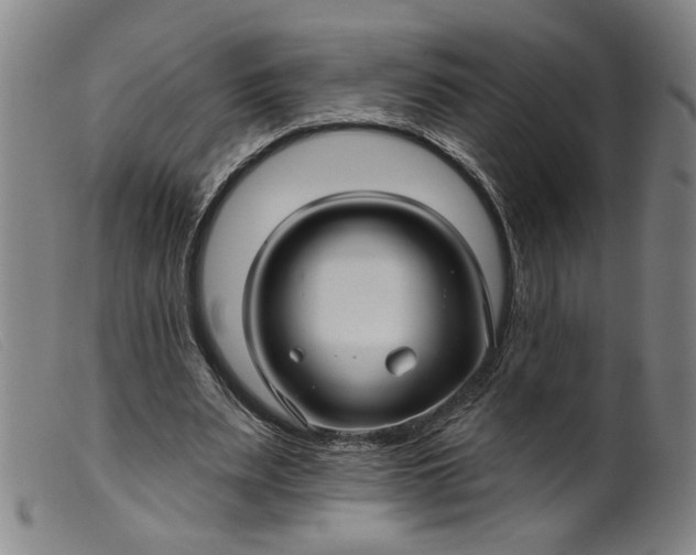 X0000099420487200805231632