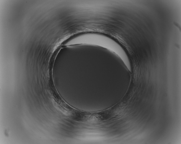 X0000099420488200805231632