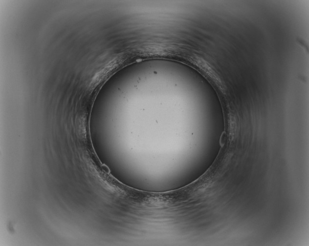 X0000099420489200805231632