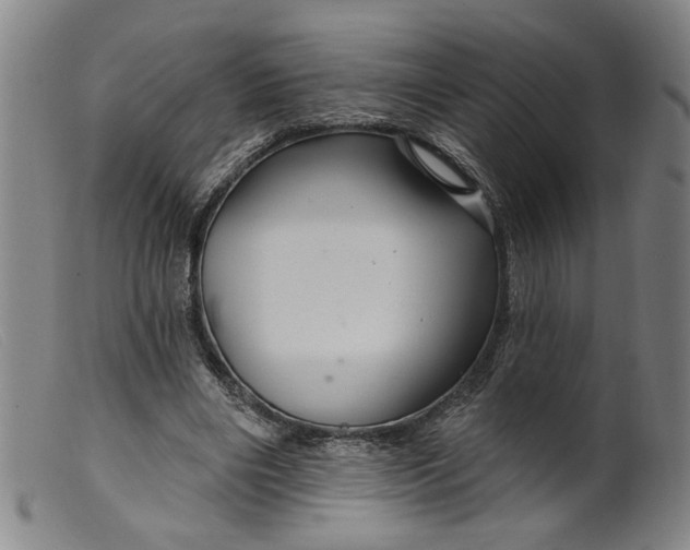X0000099420490200805231632