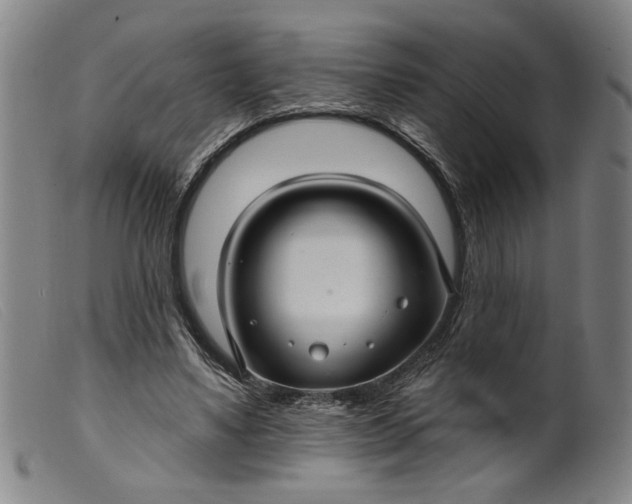 X0000099420491200805231632