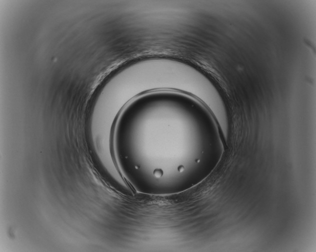 X0000099420492200805231632