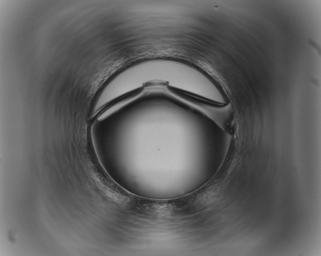 X0000099420493200805231632