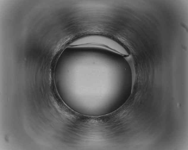 X0000099420494200805231632