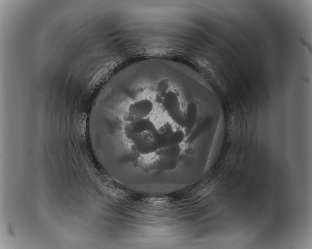 X0000099420495200805231632