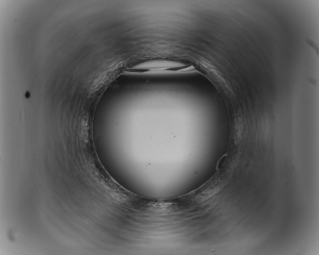 X0000099420497200805231632