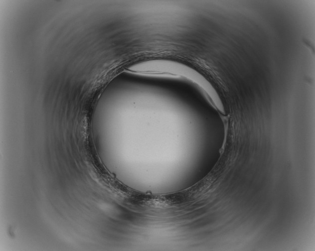 X0000099420498200805231632