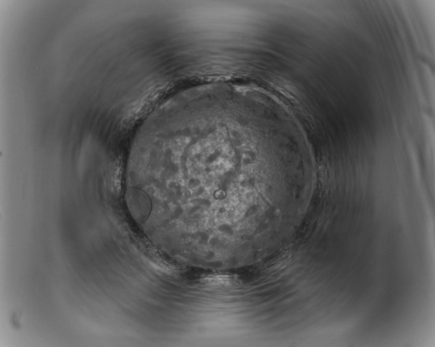 X0000099420499200805231632