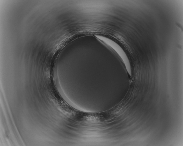 X0000099420500200805231632