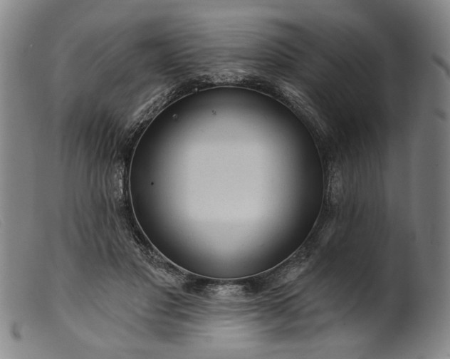 X0000099420501200805231632