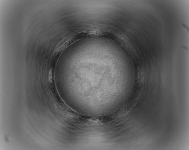 X0000099420502200805231632
