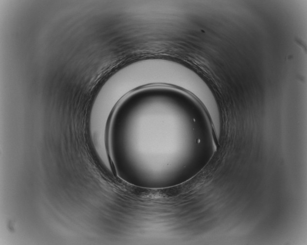 X0000099420503200805231632