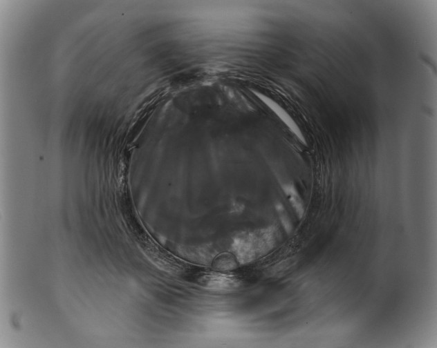 X0000099420507200805231632
