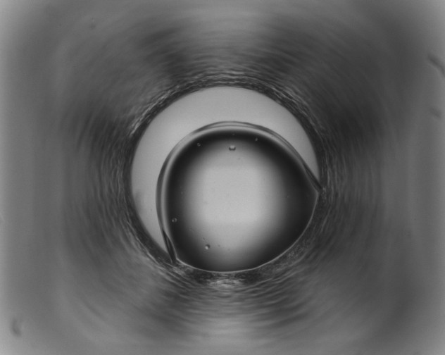 X0000099420508200805231632