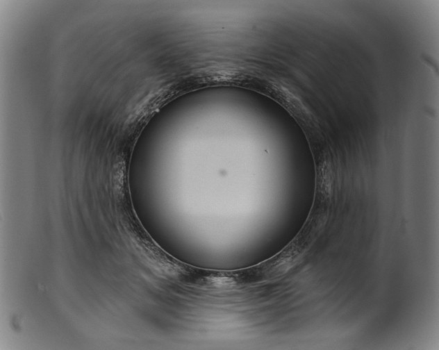 X0000099420509200805231632