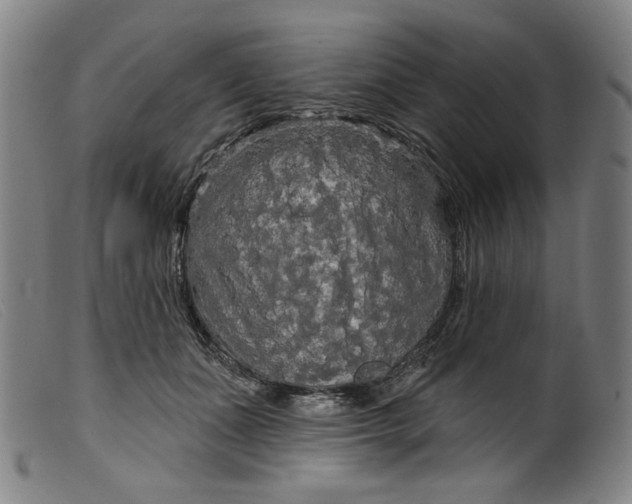 X0000099420511200805231632