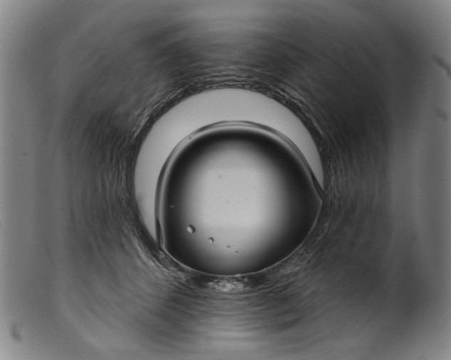 X0000099420512200805231632