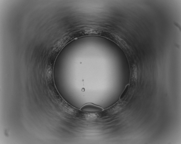 X0000099420513200805231632