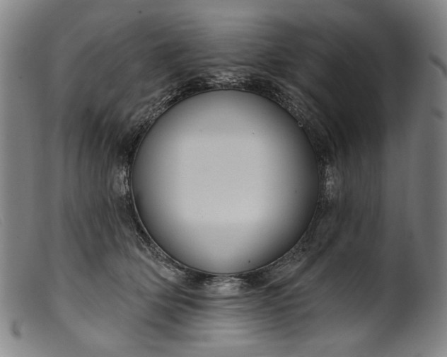 X0000099420514200805231632