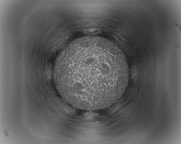 X0000099420515200805231632