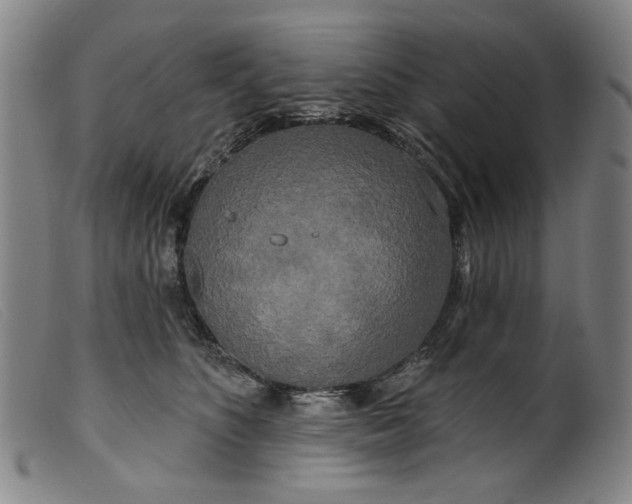X0000099420516200805231632