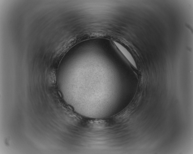 X0000099420517200805231632
