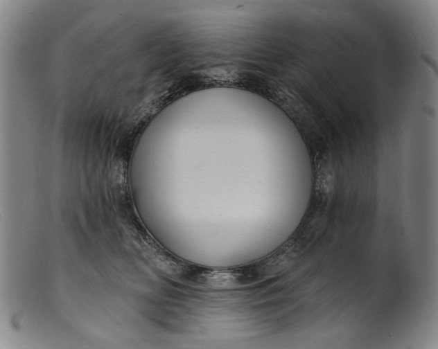 X0000099420518200805231632